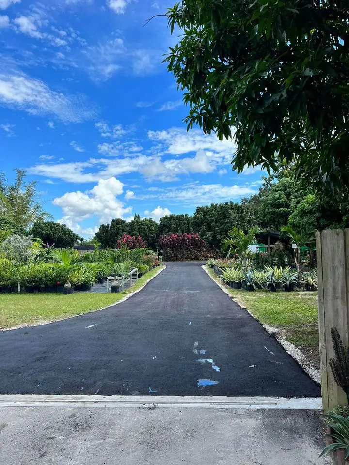 A paved pathway, expertly crafted by licensed asphalt contractors, leads through a botanical garden in Palm Beach County. Bordered by a variety of plants and trees, the sky is bright blue with a few scattered clouds. Lush greenery lines the pathway under the shade of large trees on the right.