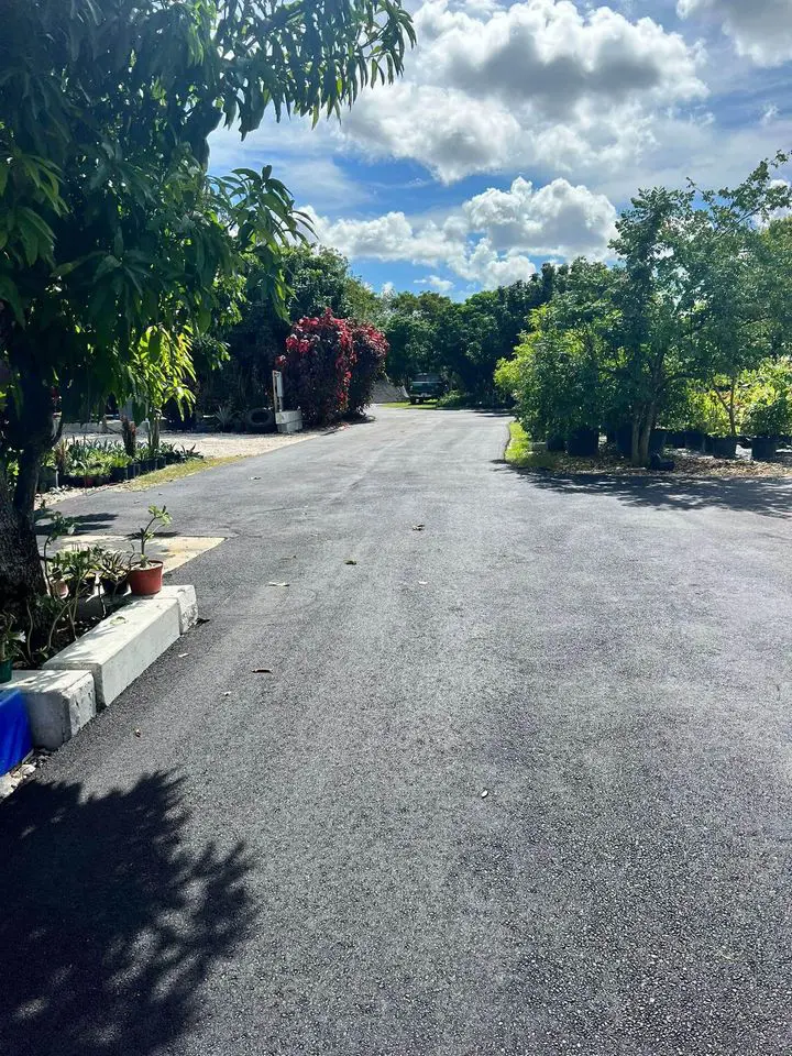 A freshly paved road curves gently amidst lush greenery and tropical plants in Boynton Beach. The sky is bright blue with scattered clouds, and the surrounding trees cast shadows onto the asphalt. A potted plant is placed near a concrete barrier on the left side of the road, showcasing quality paving services.
